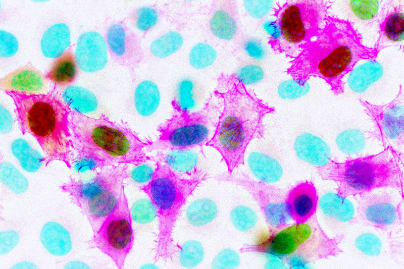 Illustration for article titled OMG These Images of the Sub-Microscopic World Are Amazing